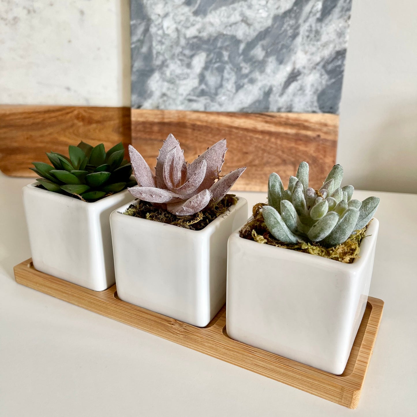 Set of 3 artificial succulents with tray