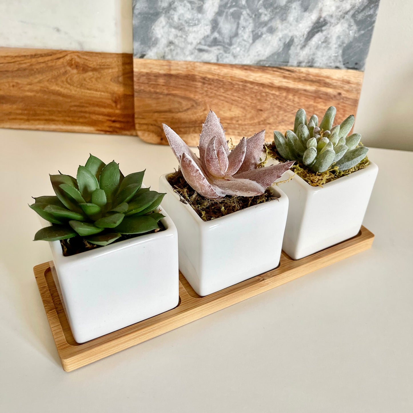 Set of 3 artificial succulents with tray