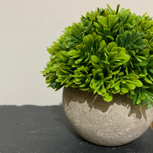 Artificial plant in cement style pot