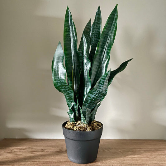 Artificial Sansevieria Mother-in-laws tongue